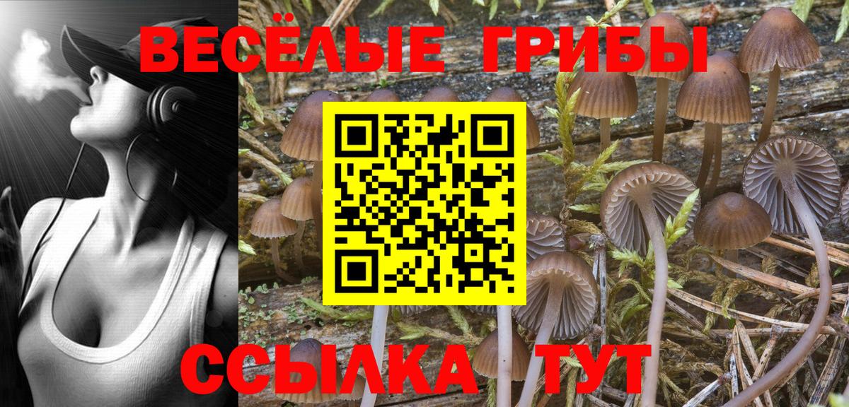 Псилоцибиновые грибы Magic Shrooms  Галлюциногенные грибы ЛСД  Калуга 